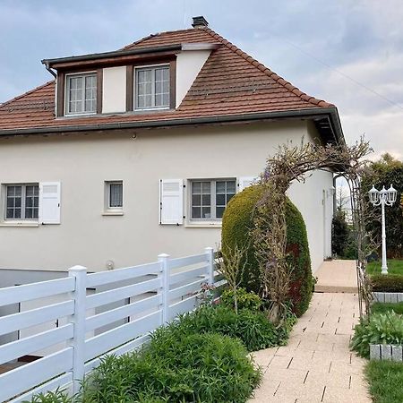 Le Papillon,Logement Cosy En Alsace Erstein Bagian luar foto