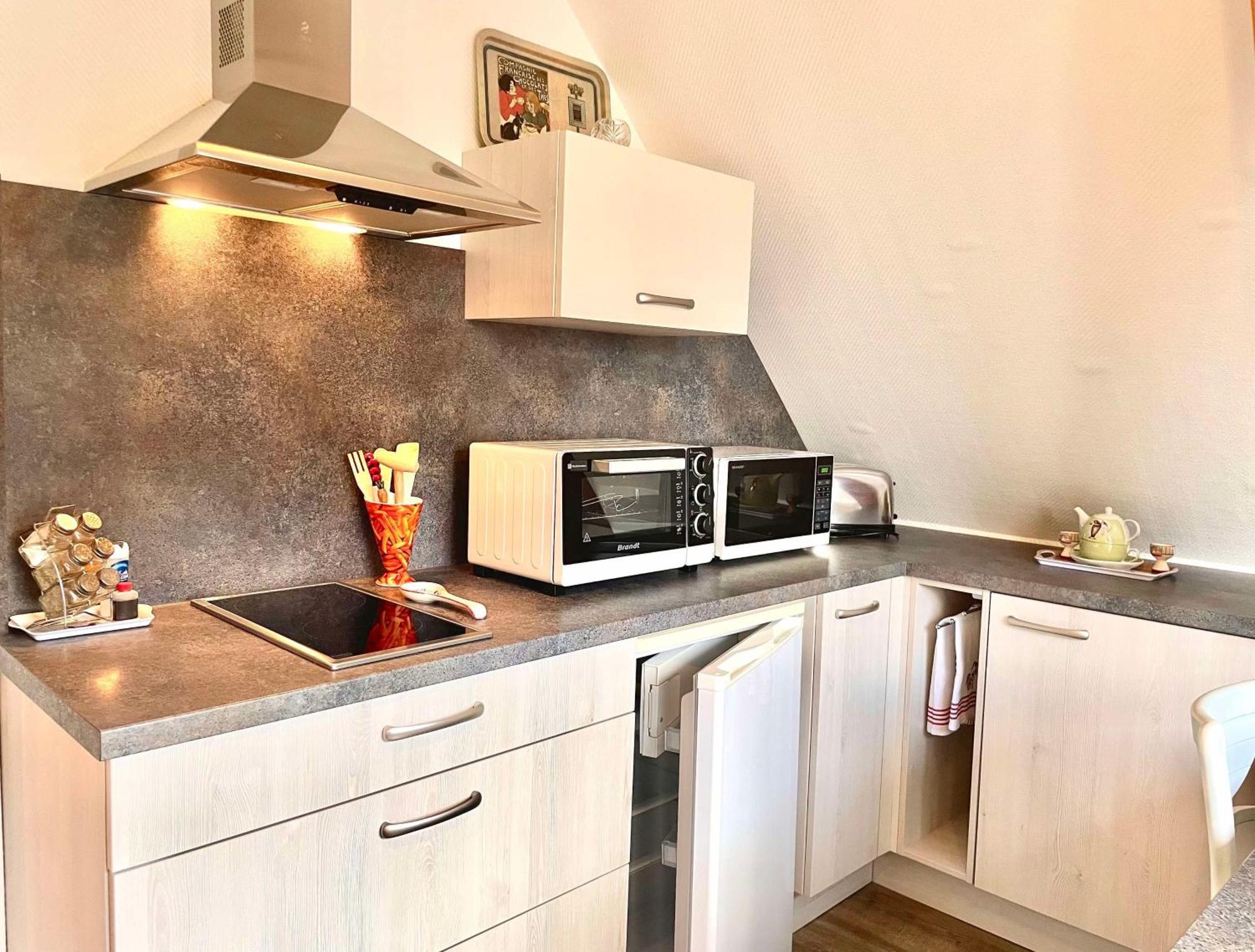 Le Papillon,Logement Cosy En Alsace Erstein Bagian luar foto
